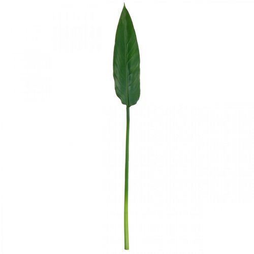 Floristik24 Strelitzia Papegoja Blomma Dekorativa Löv Strelitzia Löv Grön L81cm