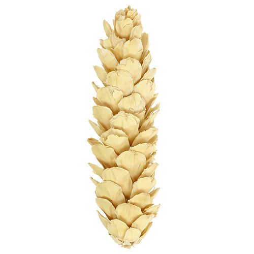 Artikel Strobus blekt 15cm-20cm 50 st