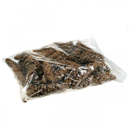 Artikel Kotar Vit tall Strobus Naturlig Blandad 2,5kg