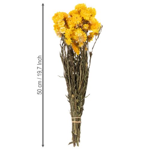 Artikel Torkad gul halmblomma (Helichrysum) torkad blombukett, 100 g