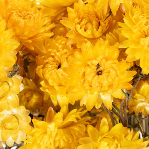 Artikel Torkad gul halmblomma (Helichrysum) torkad blombukett, 100 g