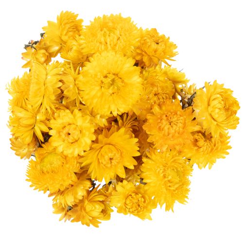 Artikel Torkad gul halmblomma (Helichrysum) torkad blombukett, 100 g