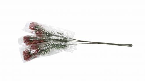 Floristik24 Xanthium gren Bordeaux 69cm 3st