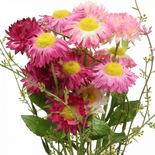 Artikel Rhodanthe rosa-rosa, sidenblommor, konstgjord växt, knippe halmblommor L46cm