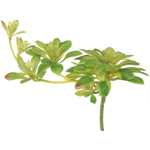 Artikel Suckulent konstgjord växt med plocka Aeonium Green 30cm 4 st