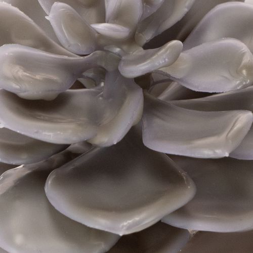 Konstgjorda suckulenta vaxblommor dekoration 10 cm 6 st | Floristik24.se