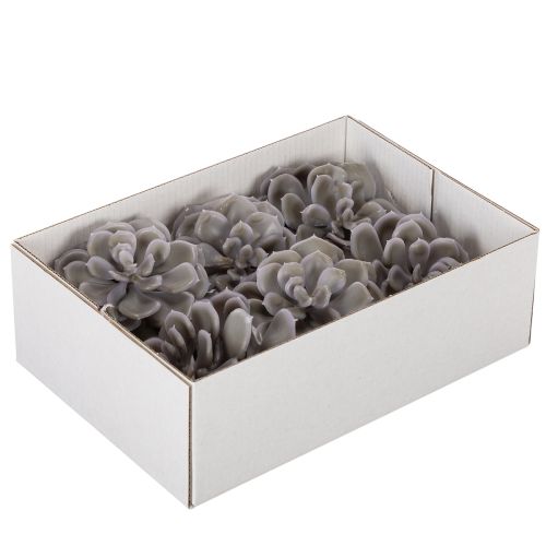 Konstgjorda suckulenta vaxblommor dekoration 10 cm 6 st | Floristik24.se