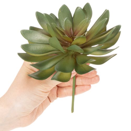 Konstgjord suckulent som prydnadsväxt, grön, 18 cm, 3 stycken | Floristik24.se