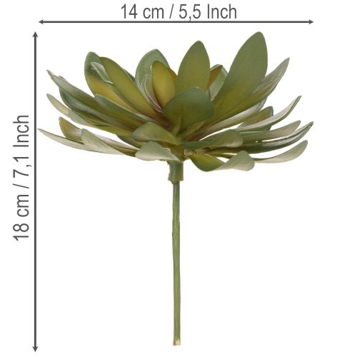 Konstgjord suckulent som prydnadsväxt, grön, 18 cm, 3 stycken | Floristik24.se