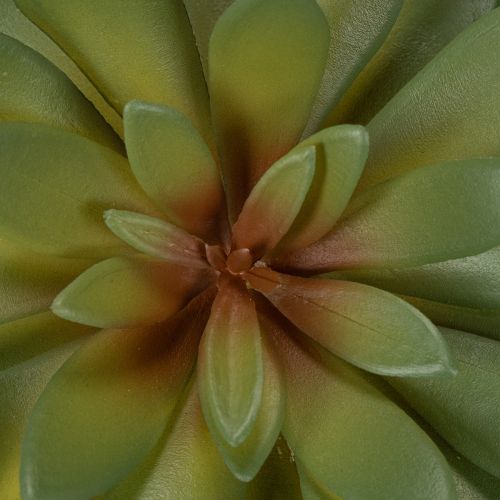 Konstgjord suckulent som prydnadsväxt, grön, 18 cm, 3 stycken | Floristik24.se