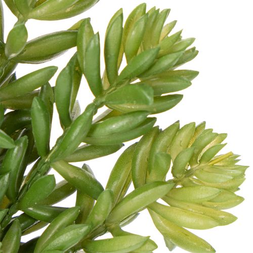 Artikel Konstgjord suckulentblomma för lättskött design av vardagsrum och kontor, 15 cm, 5 stycken