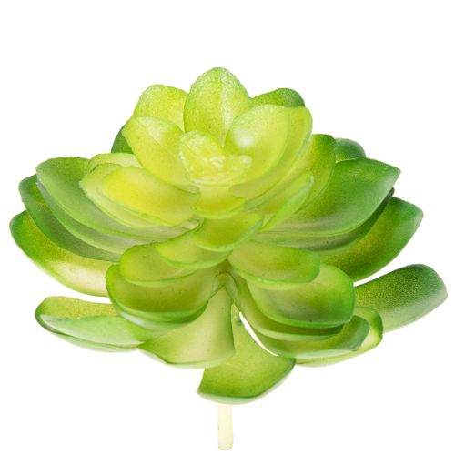 Artikel Konstgjord suckulent, grön, för dekoration i skål eller vas, 10 cm, 4 stycken