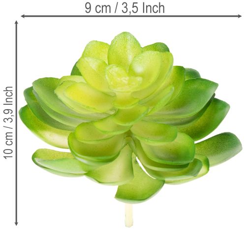 Artikel Konstgjord suckulent, grön, för dekoration i skål eller vas, 10 cm, 4 stycken