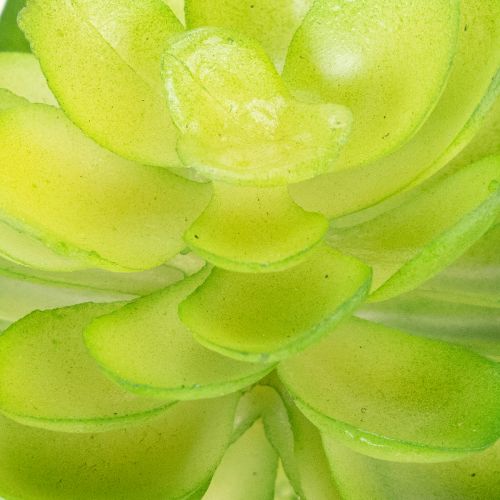 Konstgjord suckulent, grön, för dekoration i skål eller vas, 10 cm, 4 stycken | Floristik24.se
