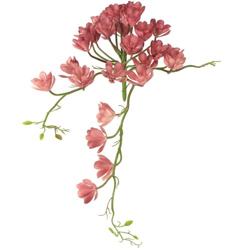 Konstgjord suckulent 28 rosetter Aeonium gammalrosa 43cm