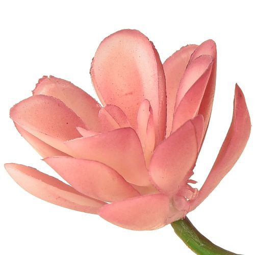 Artikel Konstgjord suckulent 28 rosetter Aeonium gammalrosa 43cm