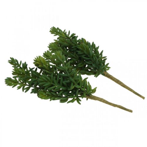 Floristik24 Suckulent konstgjord grön växt att sticka 25cm grön 2st