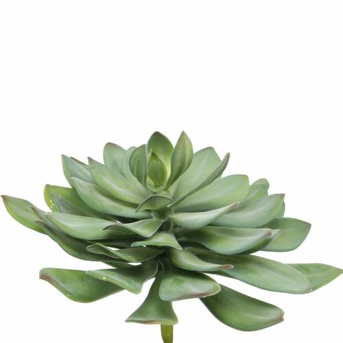 Floristik24 Dekorativ saftig växt konstgrön Ø30cm H27cm