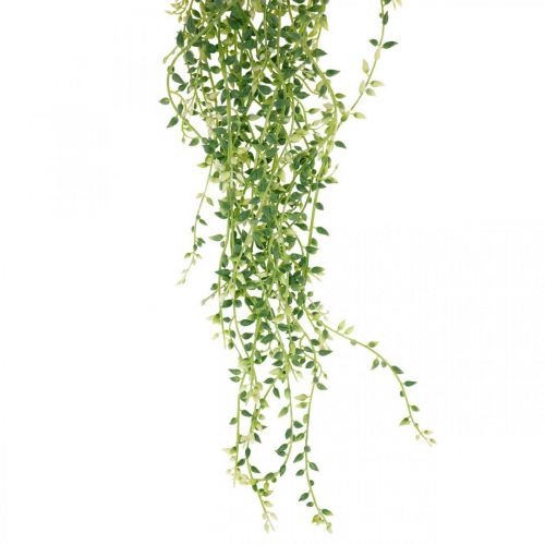 Floristik24 Suckulent hängande konstgjord hängande växt grön 96cm