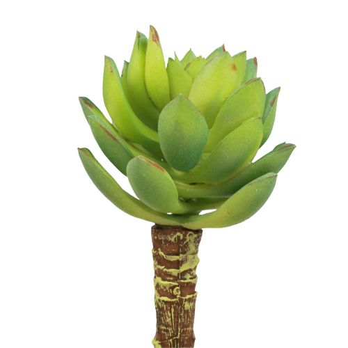 Artikel Suckulent Echeveria Artificiell Grön Växt Grön Ø5,5cm 12,5cm