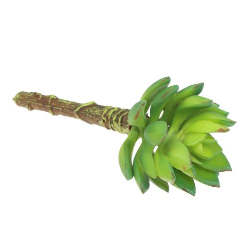 Artikel Suckulent Echeveria Artificiell Grön Växt Grön Ø5,5cm 12,5cm