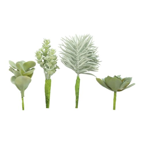 Floristik24 Suckulenter Konstgjord grön växt Grön Assorterad 9-18,5cm 4st