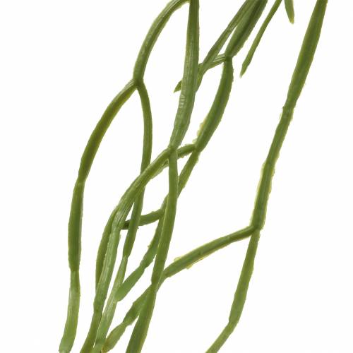 Floristik24 Suckulent hängande konstgrönt 110cm