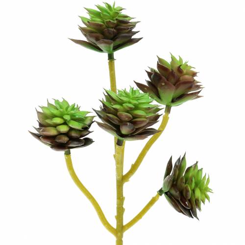 Artikel Suckulent plocka grön / brun 35,5 cm