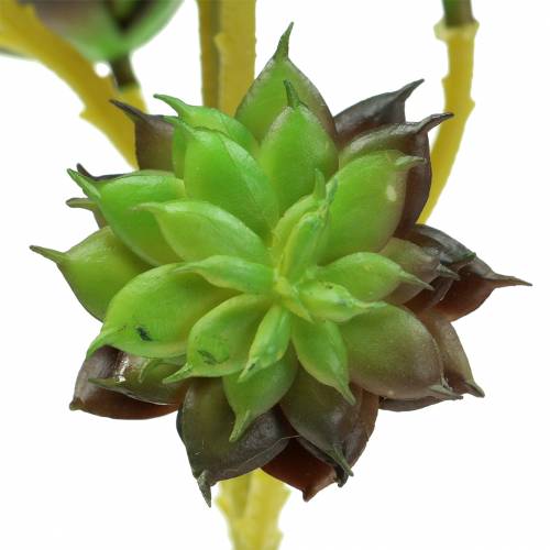 Artikel Suckulent plocka grön / brun 35,5 cm