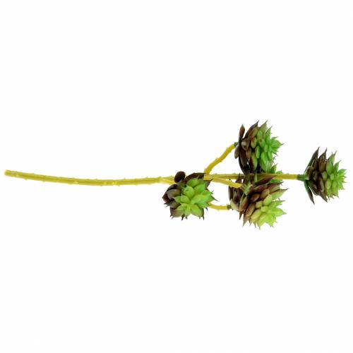 Artikel Suckulent plocka grön / brun 35,5 cm