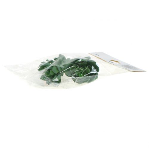 Floristik24 Suckulenter sorterade 11cm 3st
