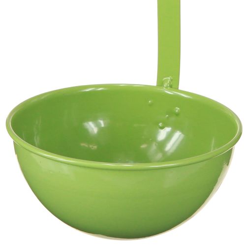 Artikel Dekorativ murslev - inspirerande designelement för interiörer, 45 cm