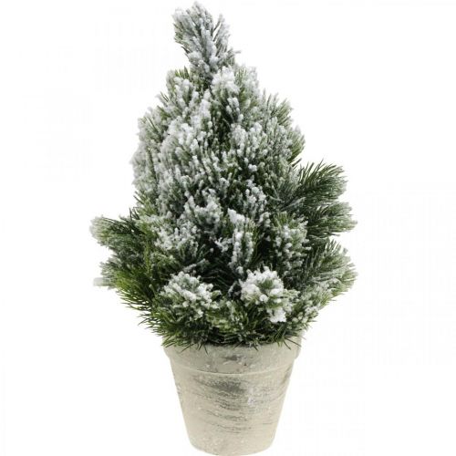 Floristik24 Minijulgran i kruka konstsnöat Ø18cm H32cm