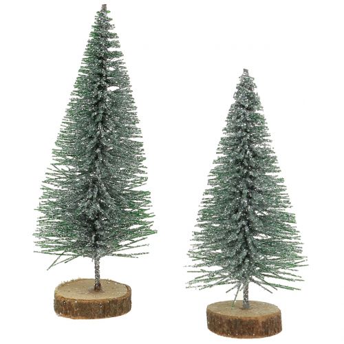 Floristik24 Gran silver 8cm 24 st