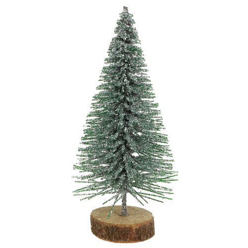 Floristik24 Gran silver 8cm 24 st