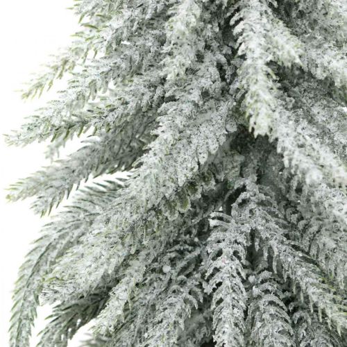 Floristik24 Dekorativ gran med snö, adventsdekoration, gran i kruka H37cm