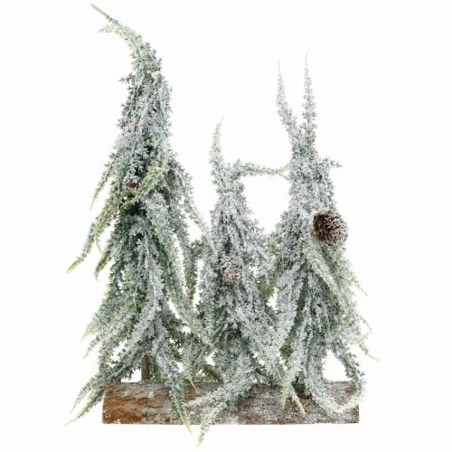 Floristik24 Granar med snö, adventsdekoration, vinterskog L16,5cm H28cm