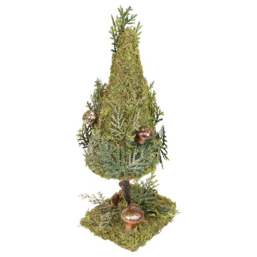 Floristik24 Gran dekoration träd mossa kottar svamp grönt guld H35cm