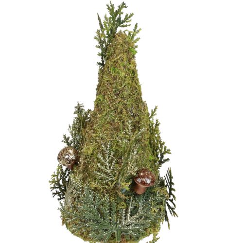 Floristik24 Gran dekoration träd mossa kottar svamp grönt guld H35cm