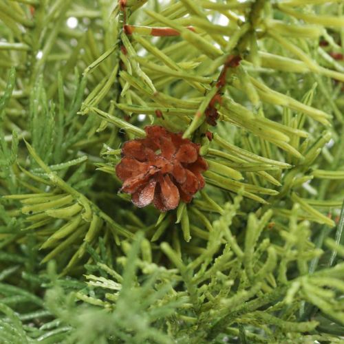 Floristik24 Deco-grenar Julgrenar Konstgjorda grangrenar H31cm