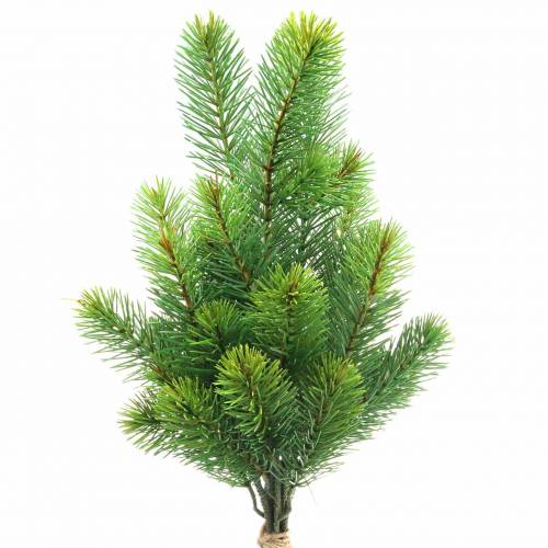 Floristik24 Grangrenar gröna 43/54cm 6st