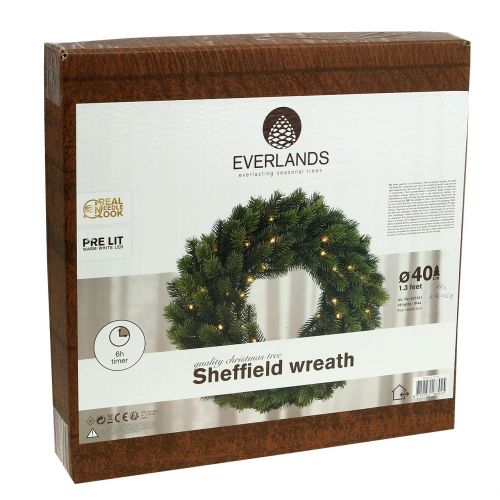 Floristik24 Ljuskrona LED grön Ø40cm 49L