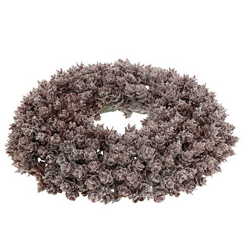 Floristik24 Kottekrans Ø25cm med glitter