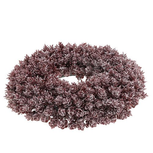 Floristik24 Tallskottkrans frostad Ø25cm vinröd