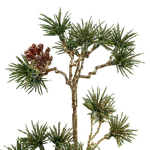 Floristik24 Grangren grön, guldglitter 46 cm