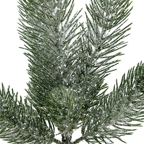 Floristik24 Grangren grön iced 30cm 3st