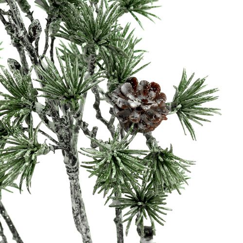 Floristik24 Gran gren vitkalkad grön 46cm