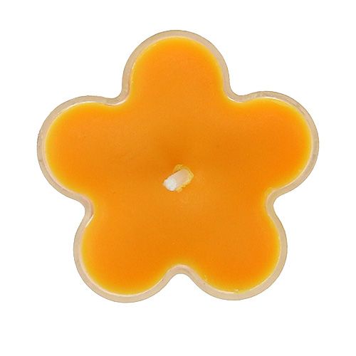 Floristik24 Tealight som en blomma med doft 4,5x2cm 6st