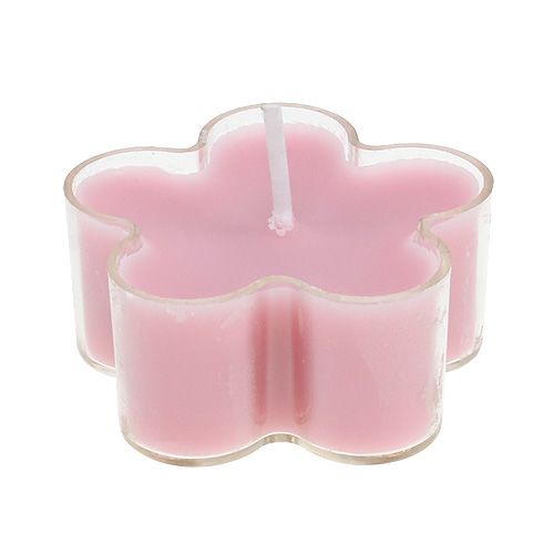 Floristik24 Teallight med doftblomma 4,5x2cm 6st