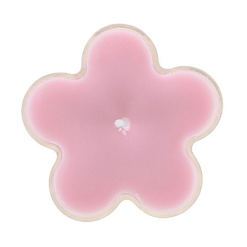 Floristik24 Teallight med doftblomma 4,5x2cm 6st